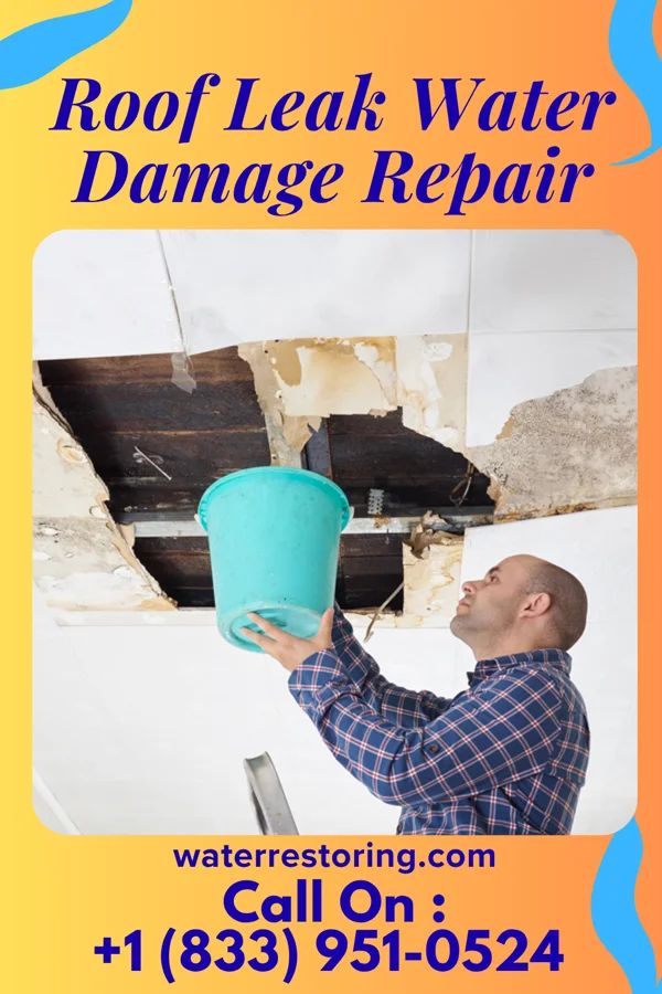Roof Leak Water Damage Repair in Notchietown, OK